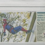 Times coverage