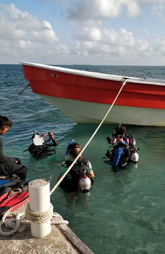Belize 2018 volunteer trip – Day 8 - back to Tom Owen's Caye
