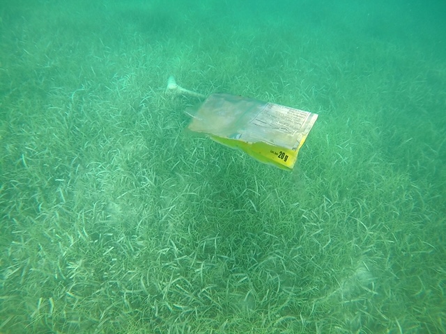 BE Offices help ReefCI in volunteer charity trip